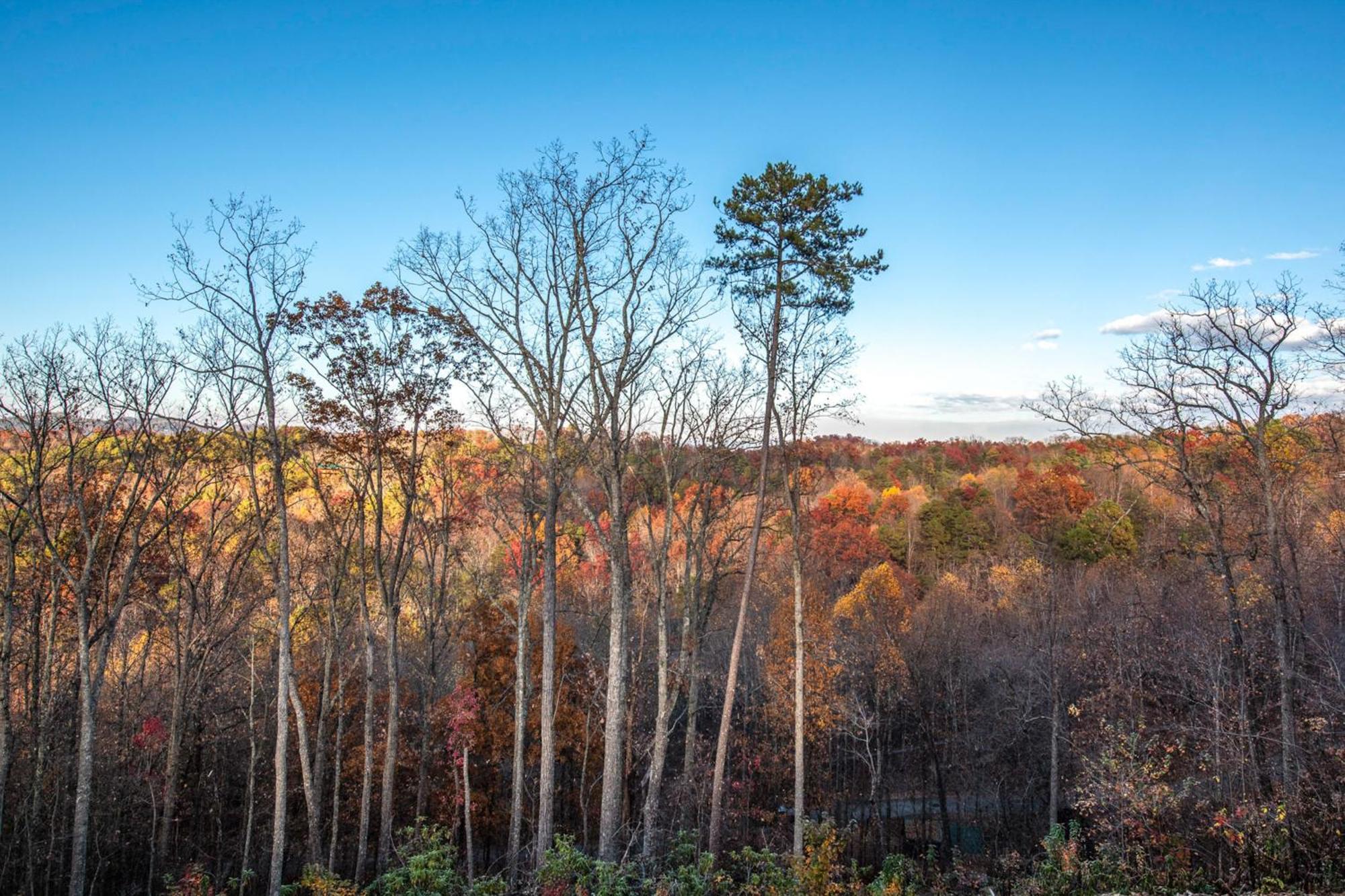 The Treetop Sanctuary Villa Sevierville Exteriör bild